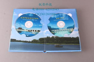 批量复制、印刷与制作DVD光盘的全流程指南